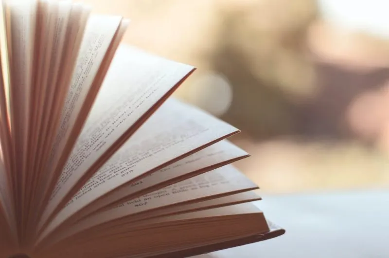 Aleksandra Negrońska – głos Nowej Generacji w Literaturze Młodzieżowej
